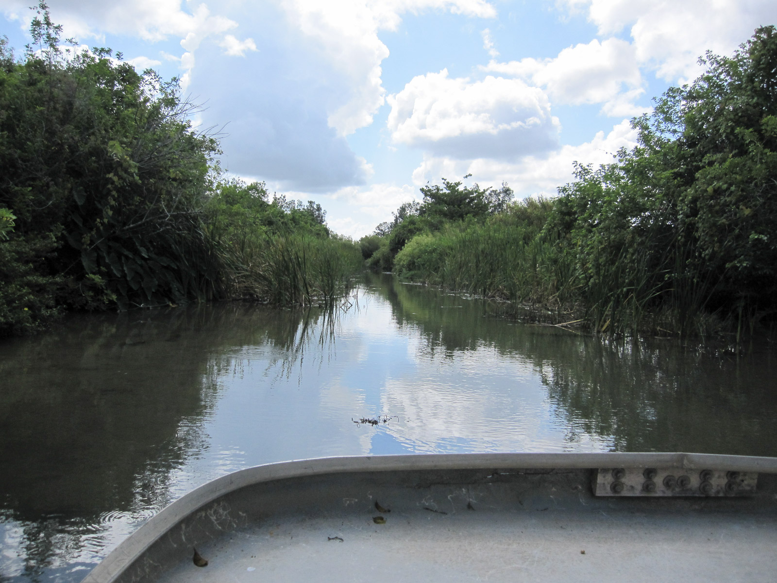 05 02 Homestead 007 IMG 3269