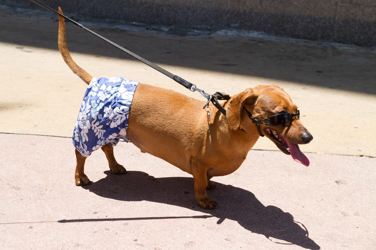 06 06 Miami Beach 002 IMG 6151